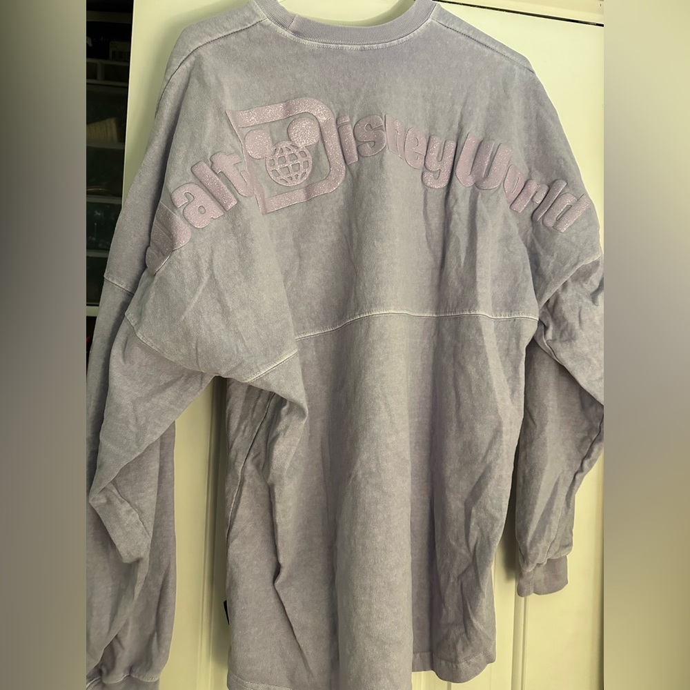 Walt Disney World Spirit Jersey